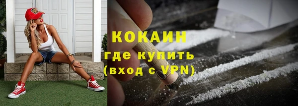 бошки Бронницы