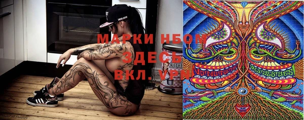 не бодяженный Бородино