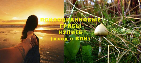 дмт Бугульма