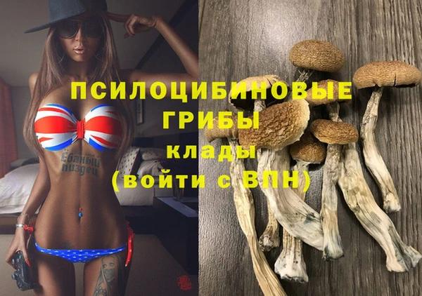 дмт Бугульма