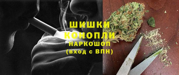 не бодяженный Бородино