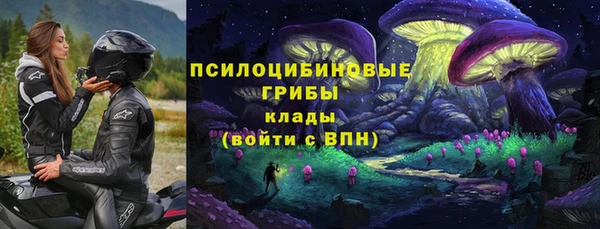 дмт Бугульма