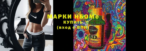 бошки Бронницы