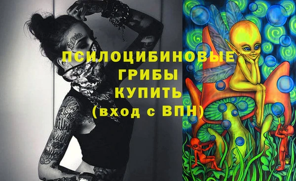 бошки Бронницы