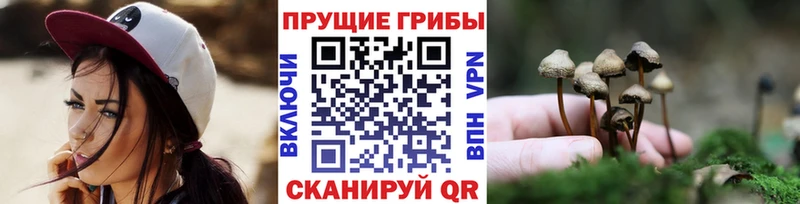 Псилоцибиновые грибы MAGIC MUSHROOMS где можно купить наркотик Верхняя Тура